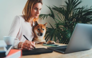 macOS Catalina Factory Reset